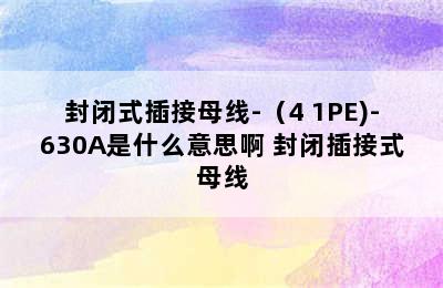 封闭式插接母线-（4+1PE)-630A是什么意思啊 封闭插接式母线